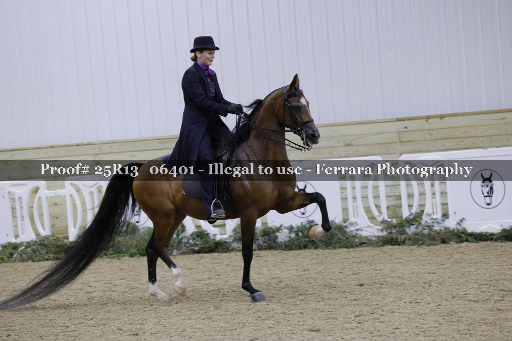 Proof 25R13_06401