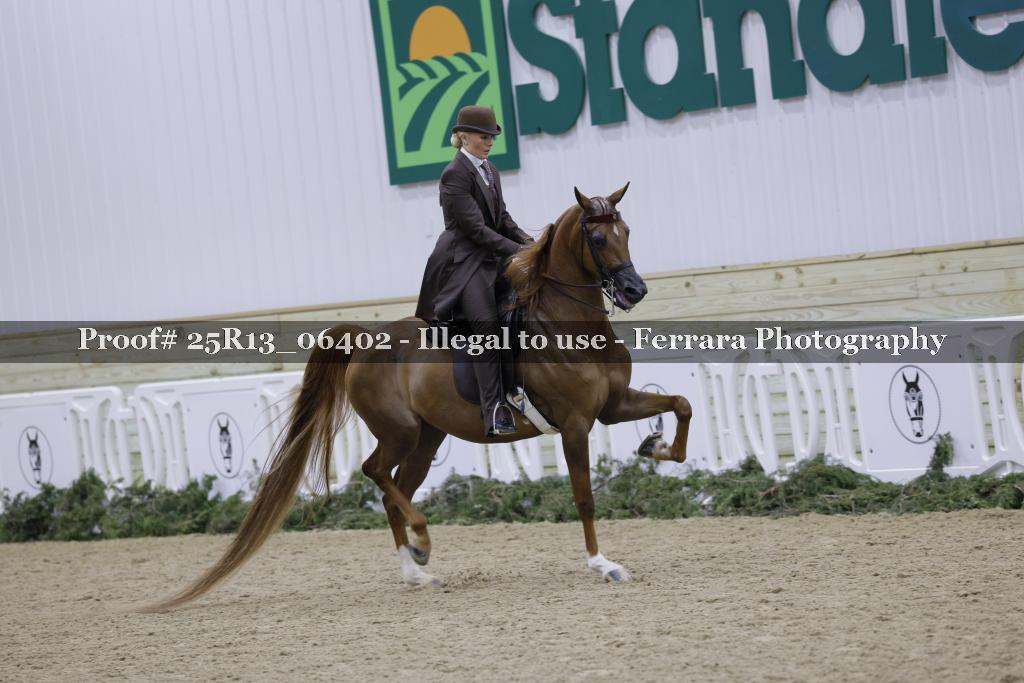 Proof 25R13_06402