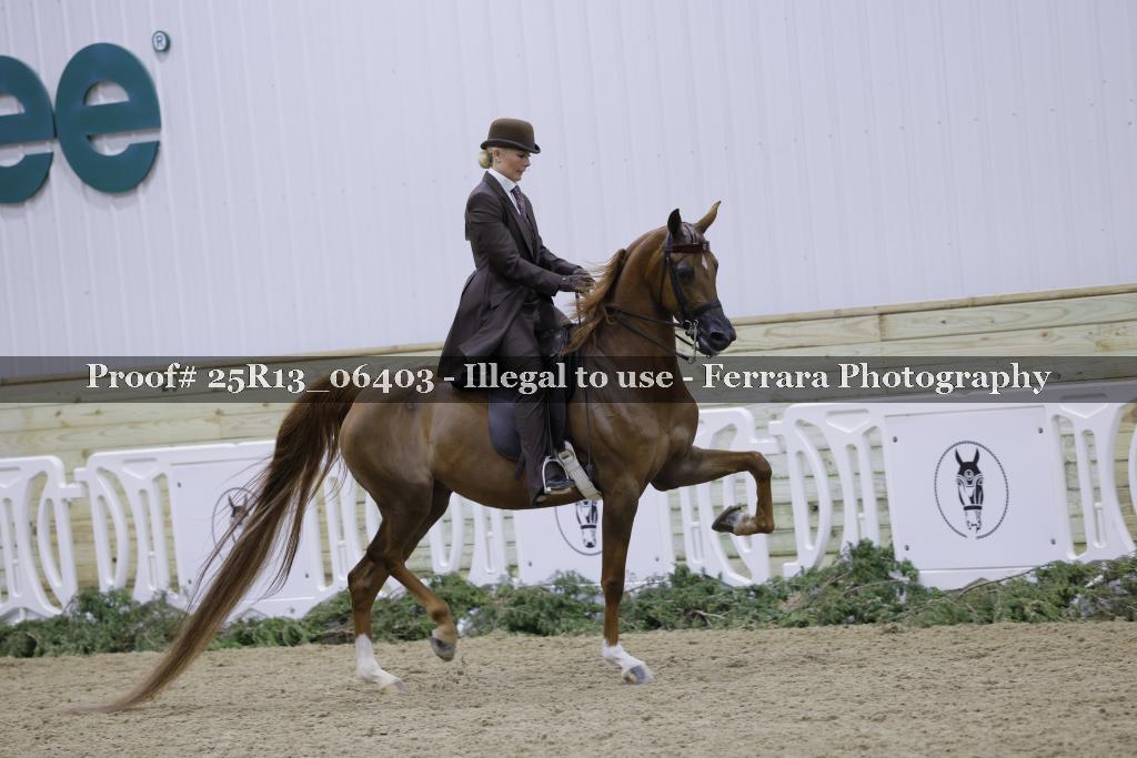 Proof 25R13_06403