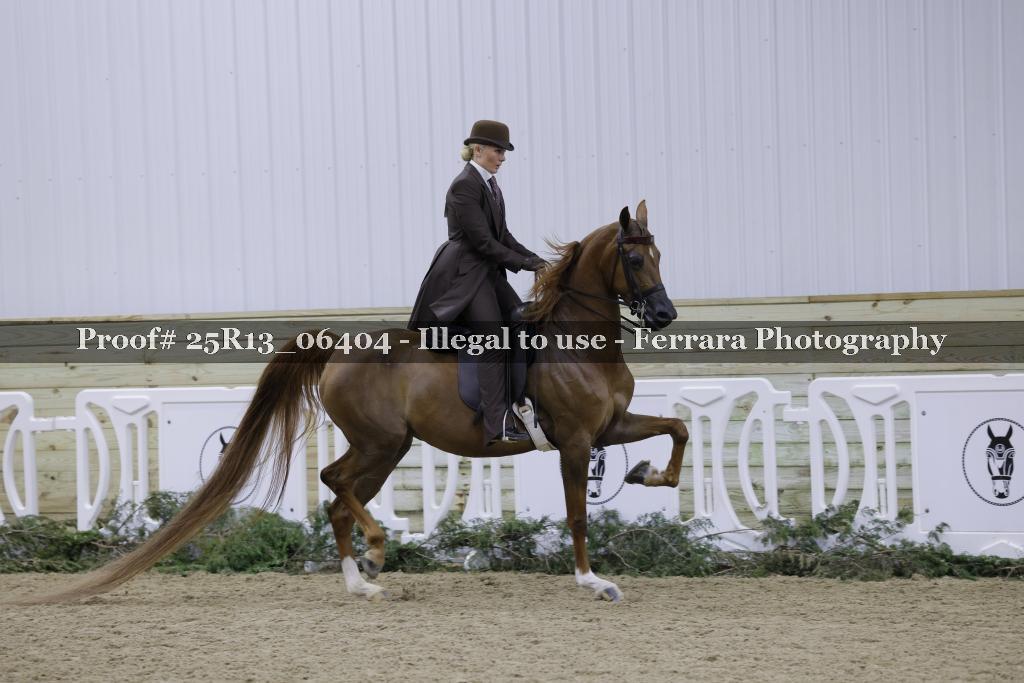 Proof 25R13_06404