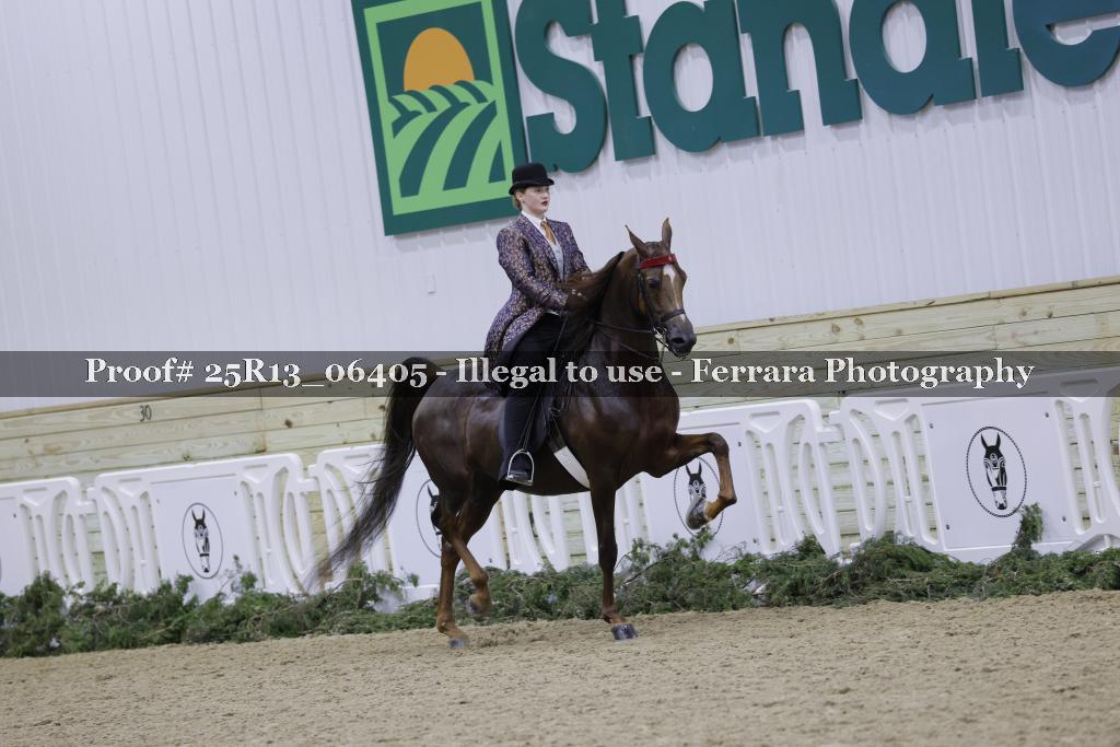 Proof 25R13_06405