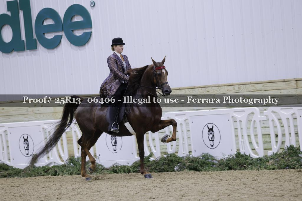 Proof 25R13_06406