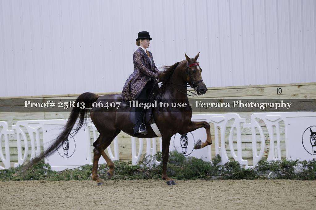 Proof 25R13_06407