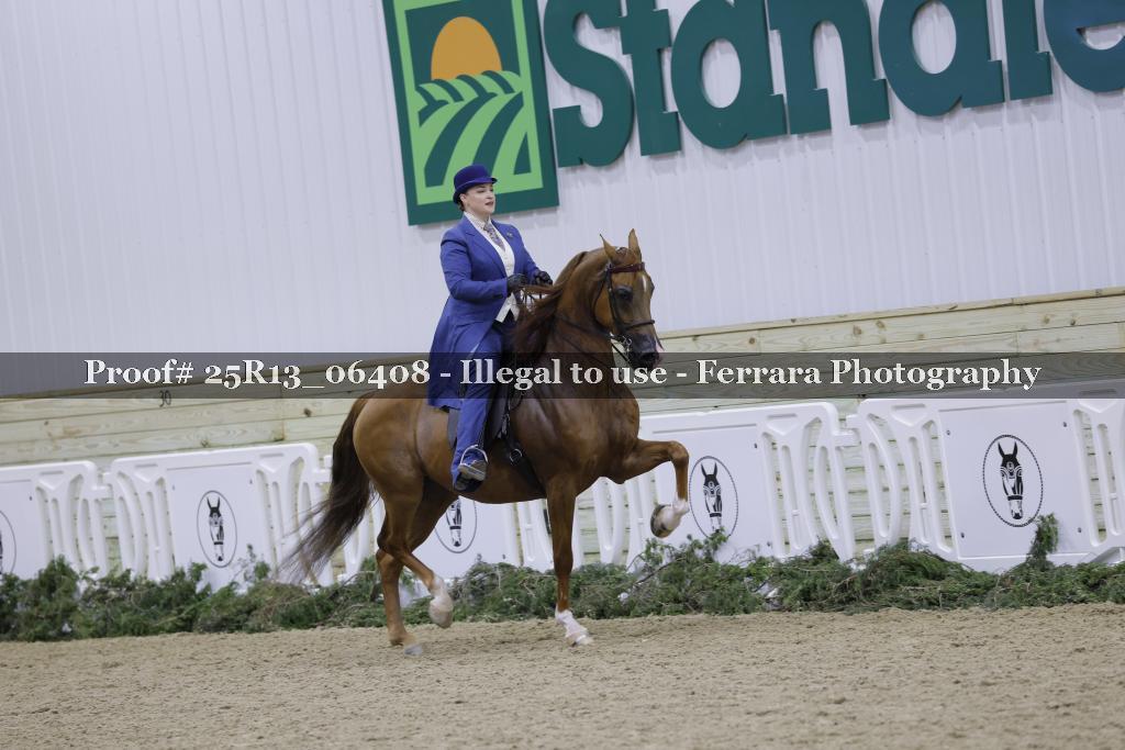 Proof 25R13_06408