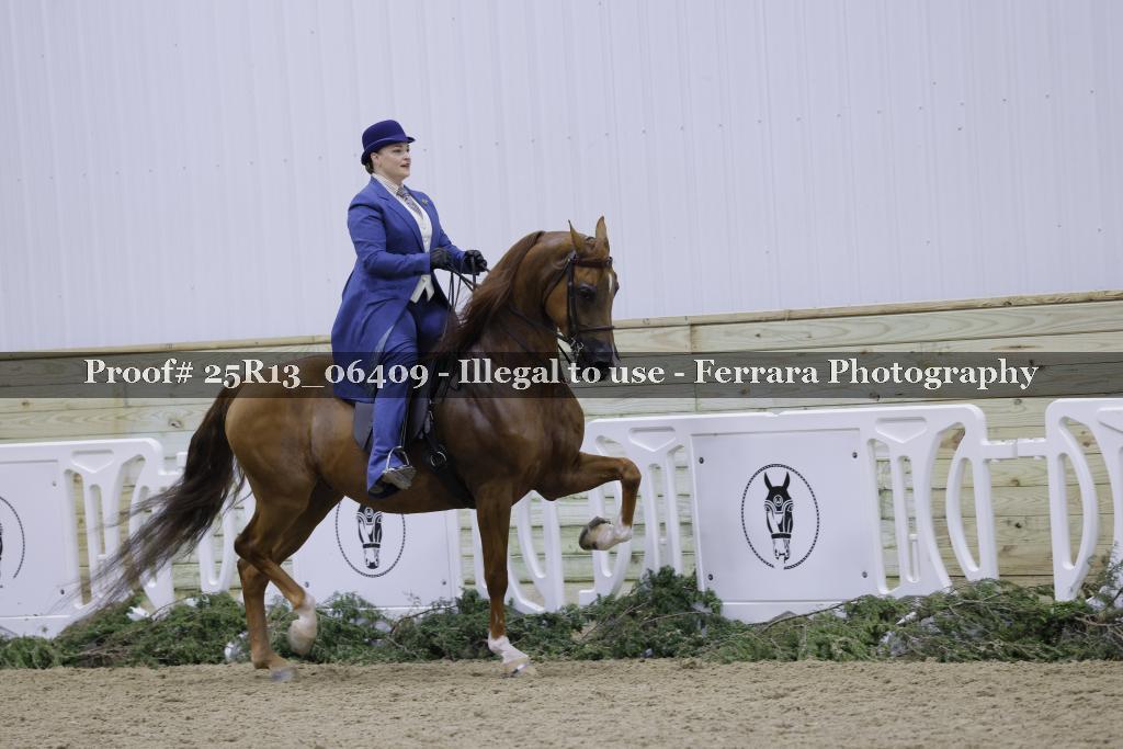 Proof 25R13_06409
