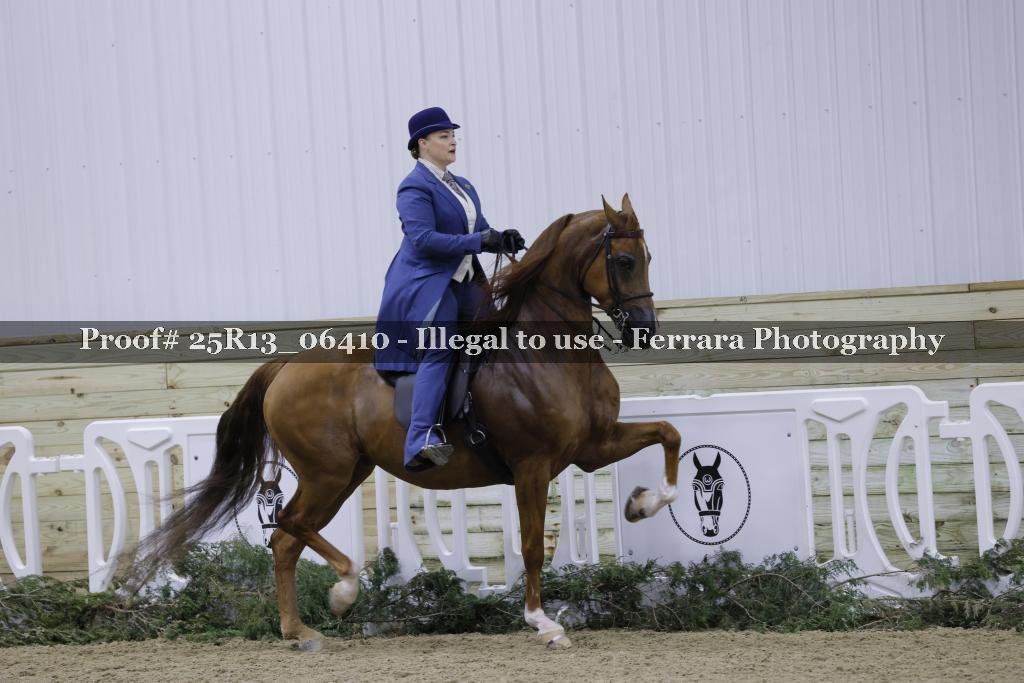 Proof 25R13_06410
