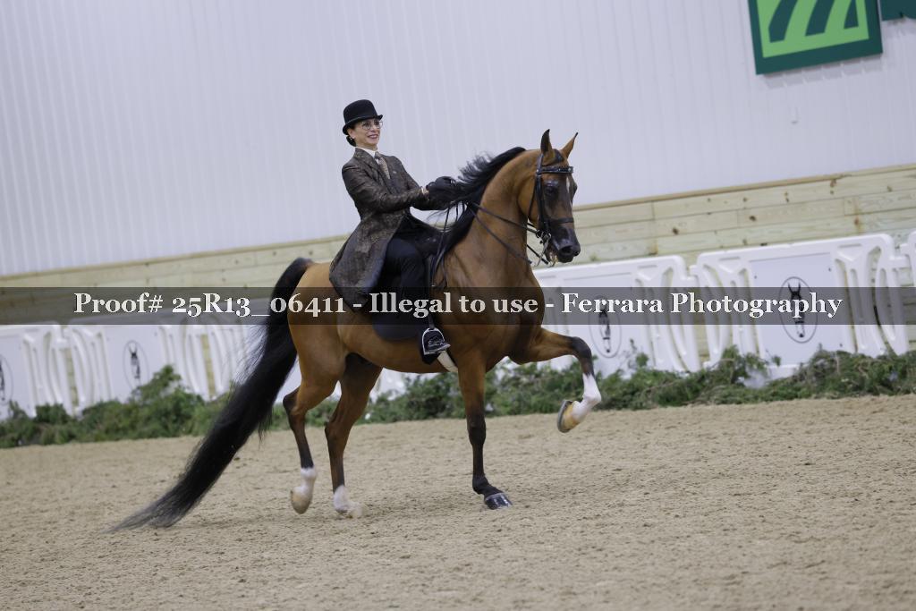 Proof 25R13_06411