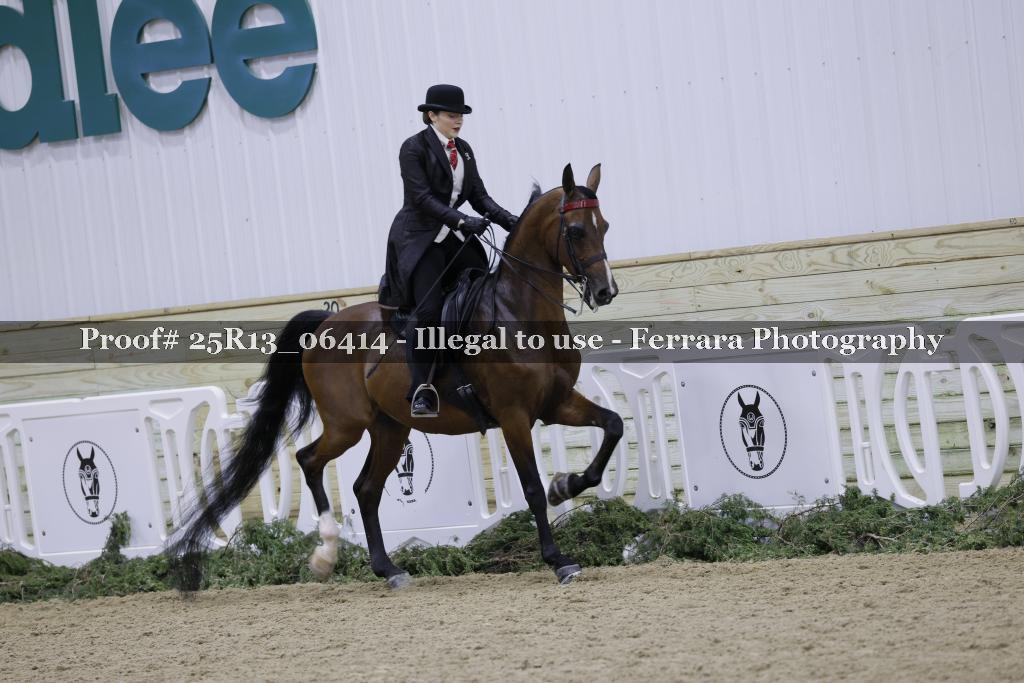 Proof 25R13_06414