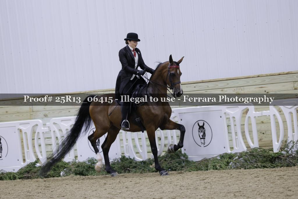 Proof 25R13_06415