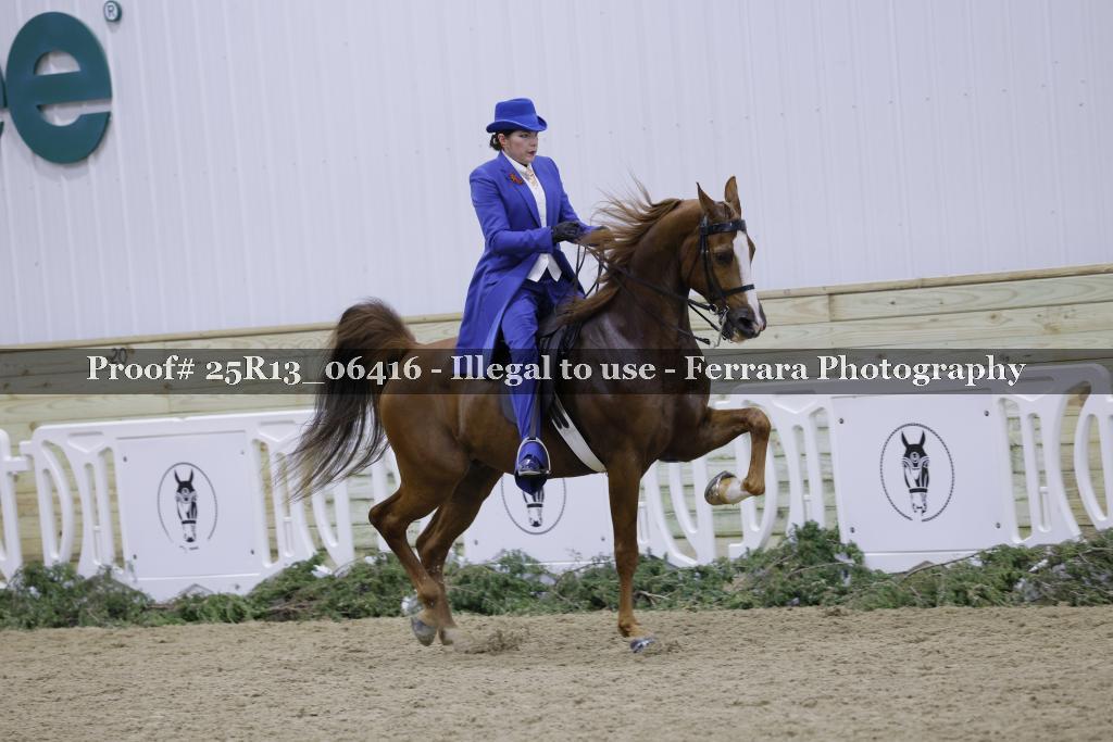 Proof 25R13_06416