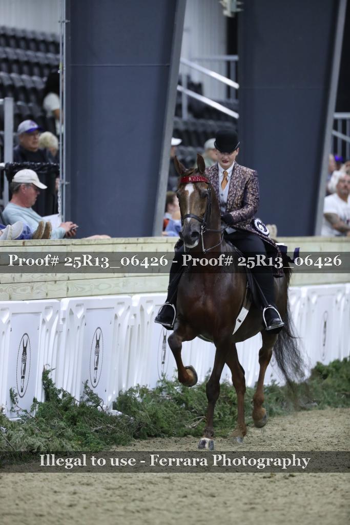 Proof 25R13_06426
