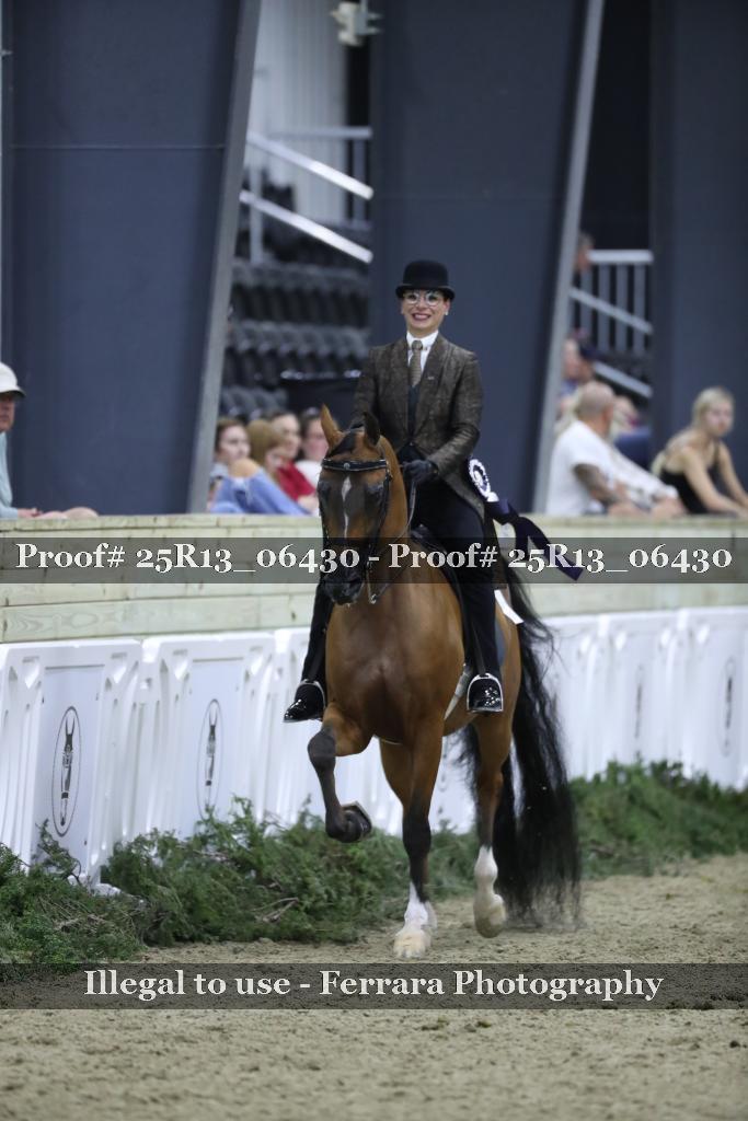 Proof 25R13_06430