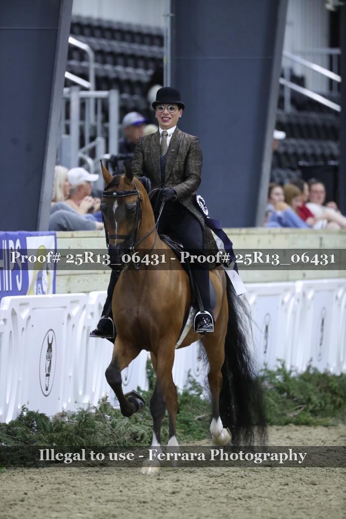 Proof 25R13_06431