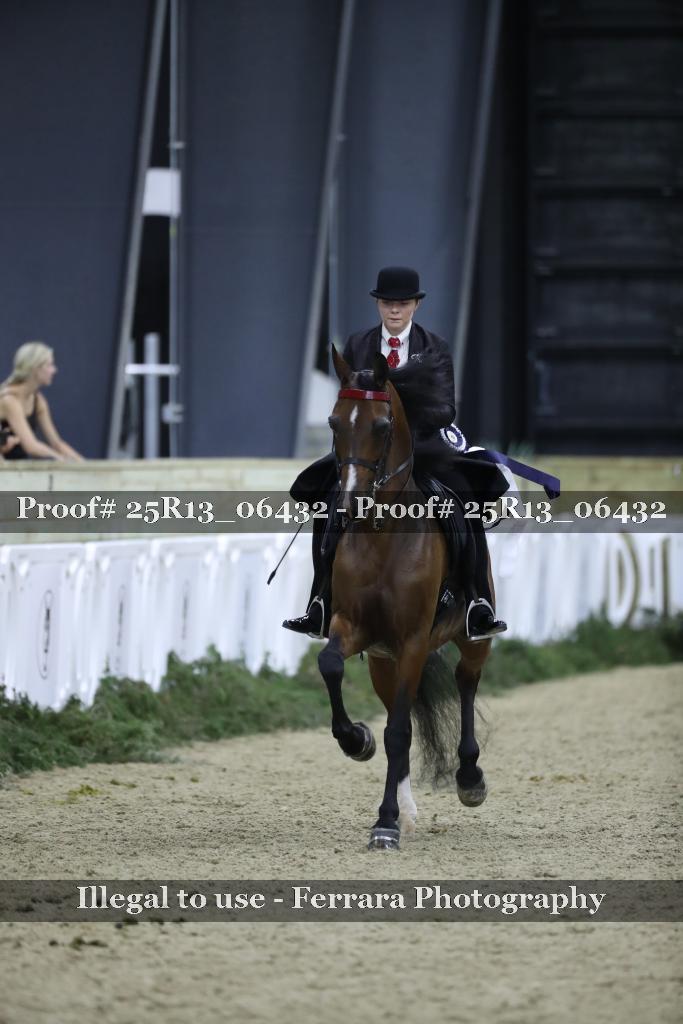 Proof 25R13_06432