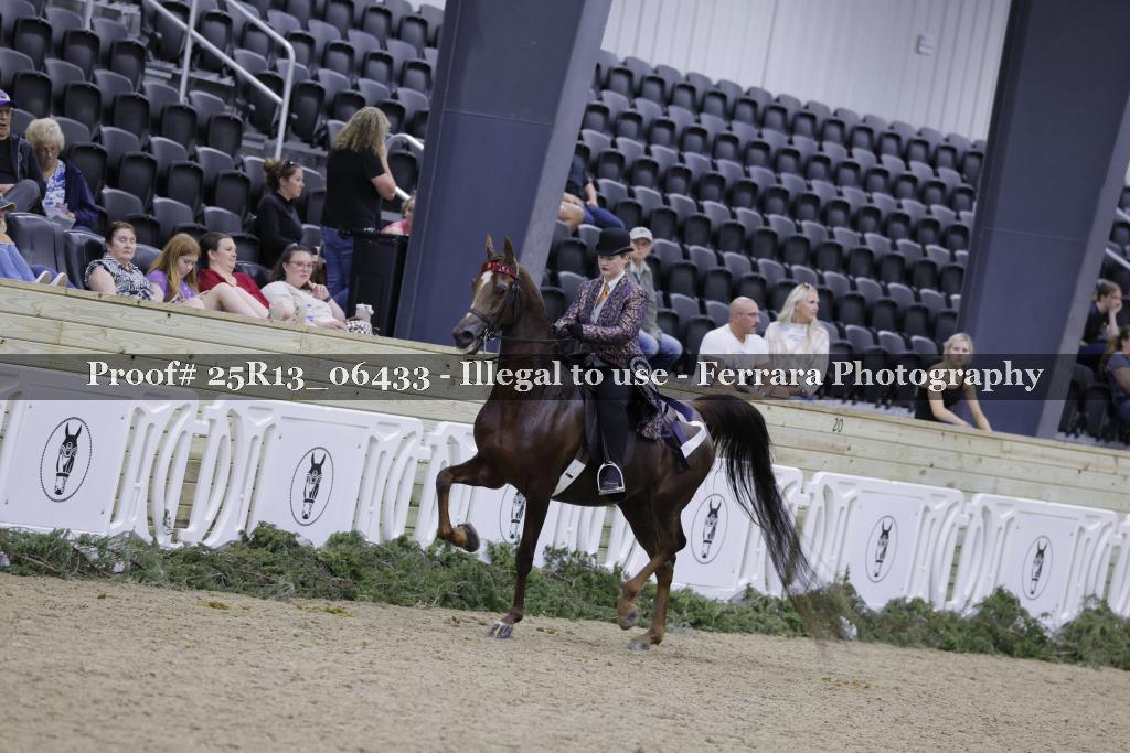 Proof 25R13_06433