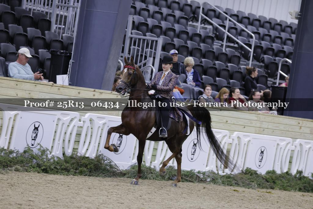 Proof 25R13_06434