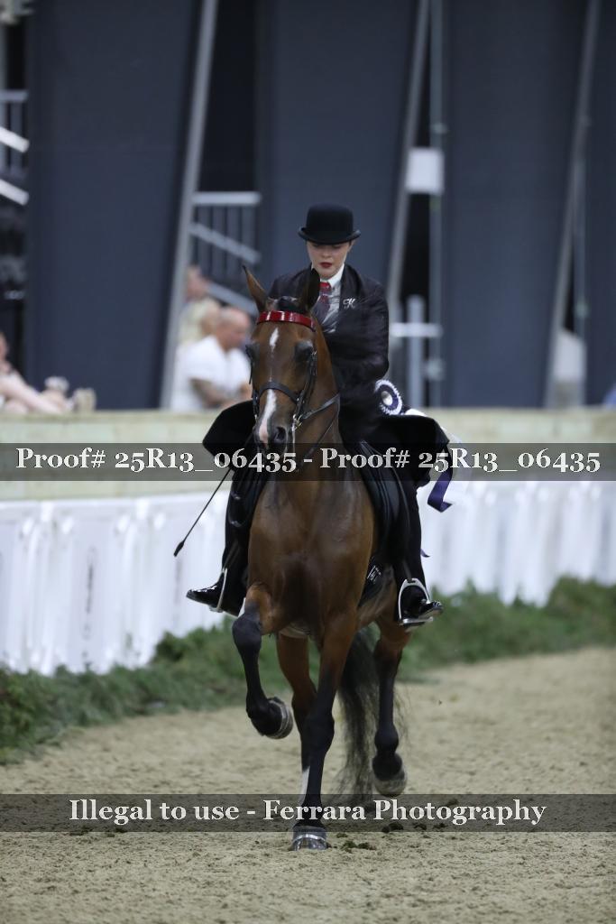 Proof 25R13_06435