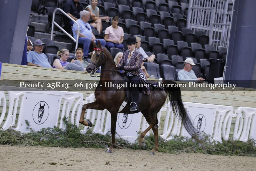 Proof 25R13_06436