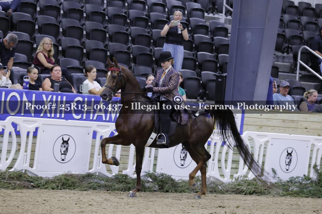 Proof 25R13_06437