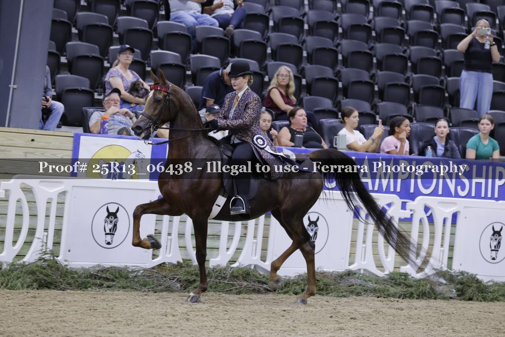 Proof 25R13_06438