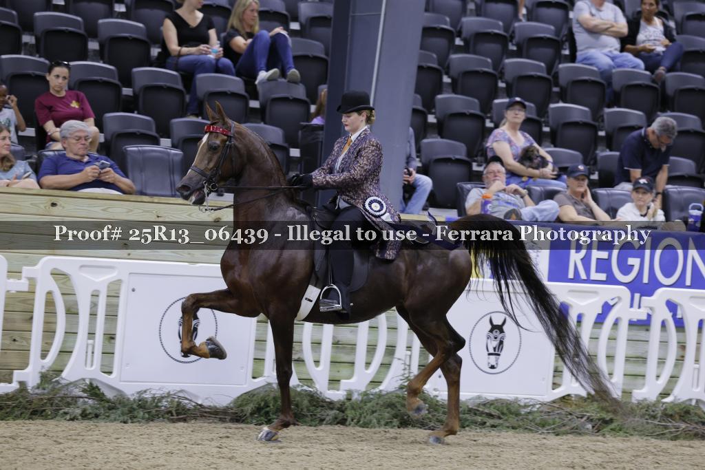 Proof 25R13_06439