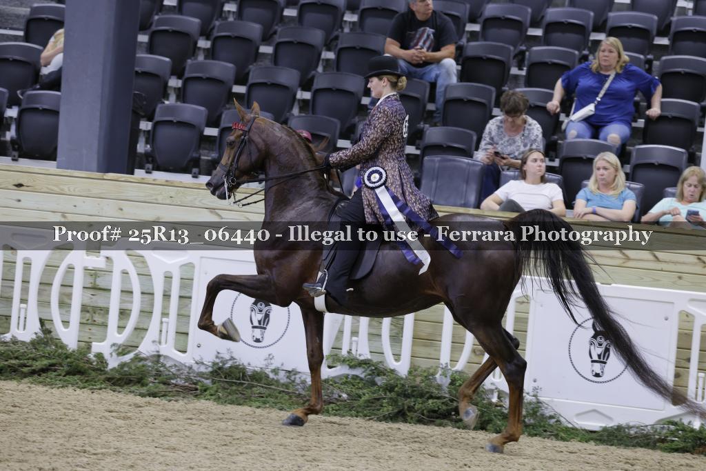 Proof 25R13_06440