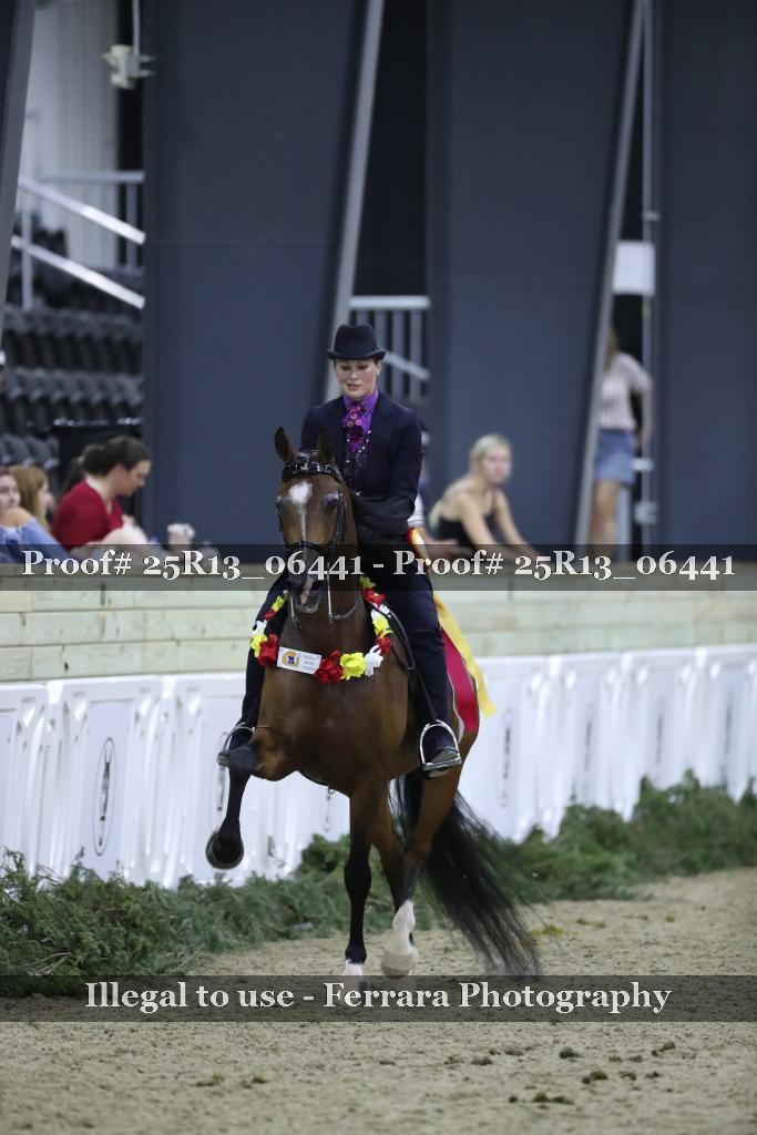 Proof 25R13_06441