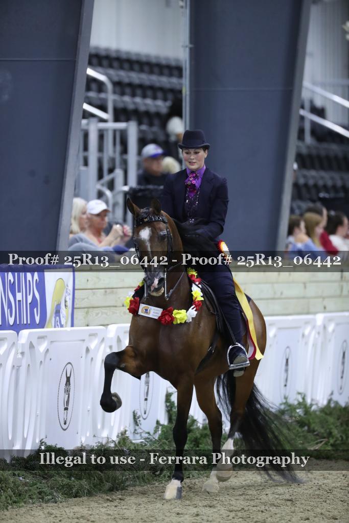 Proof 25R13_06442