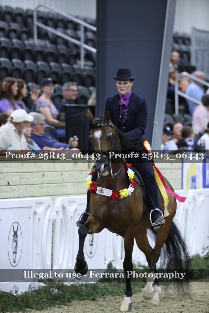 Proof 25R13_06443