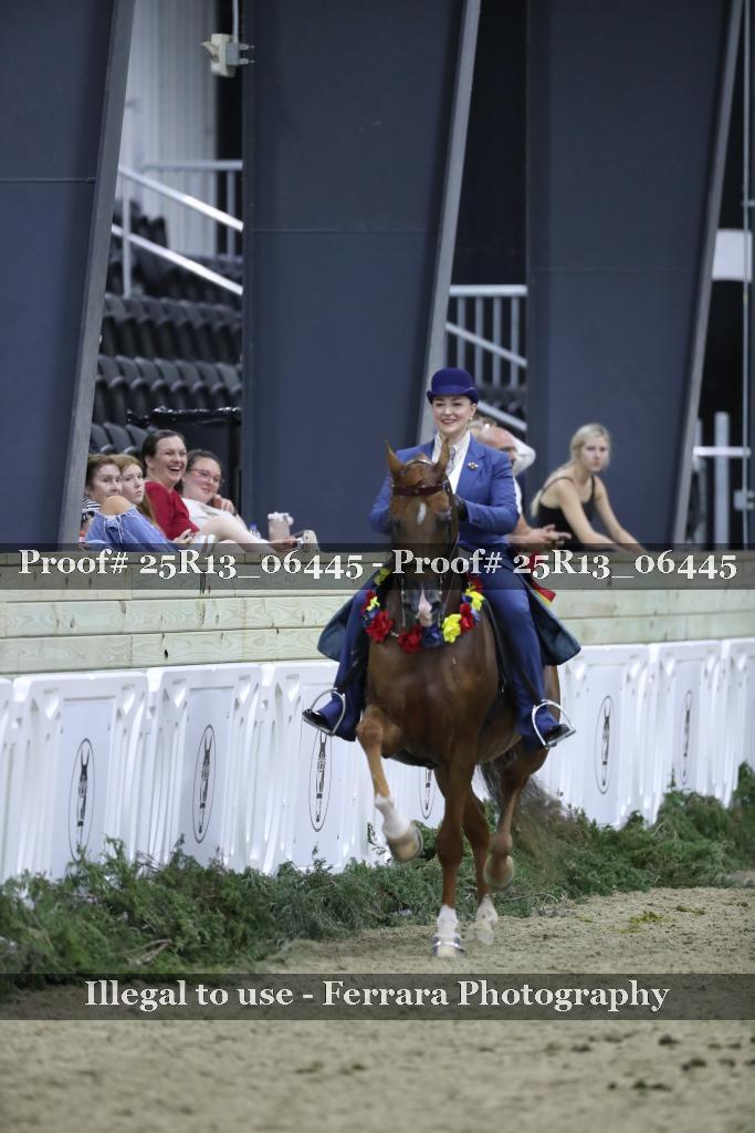 Proof 25R13_06445