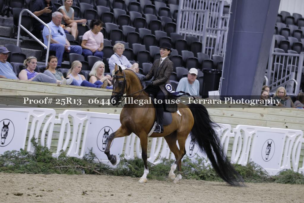 Proof 25R13_06446