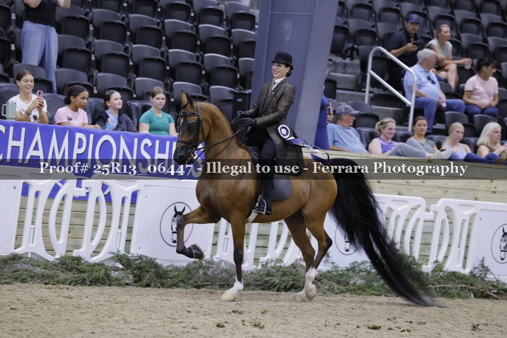 Proof 25R13_06447