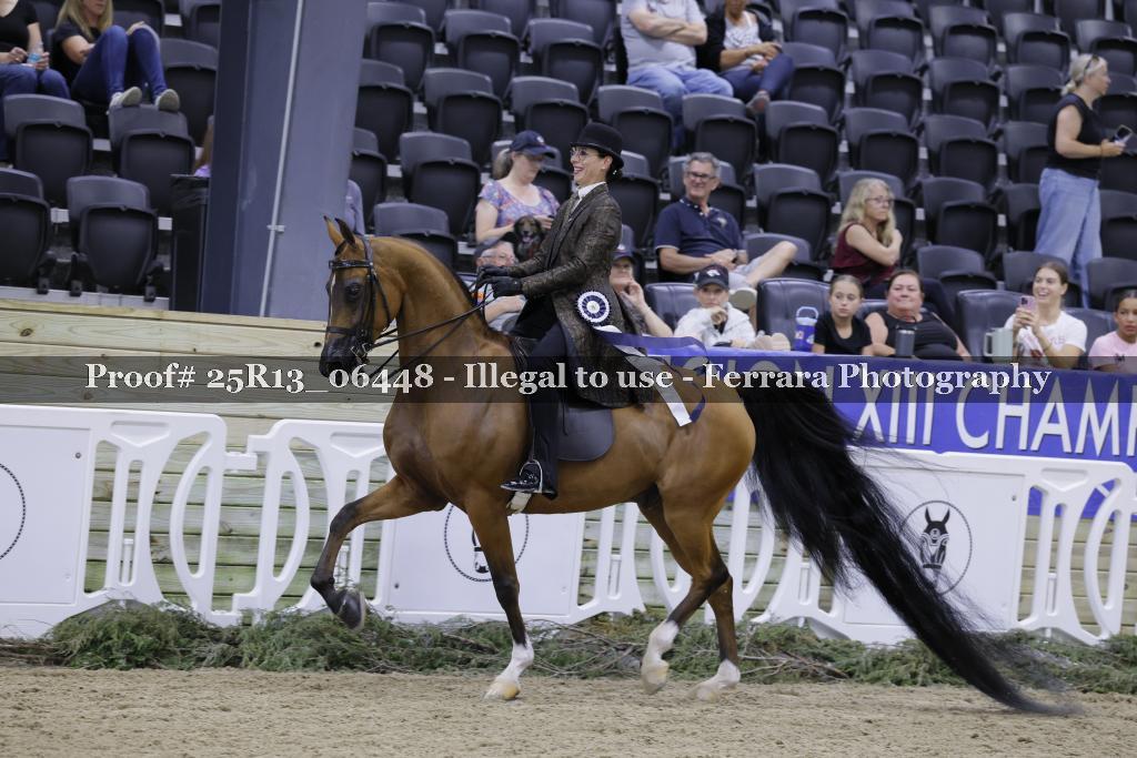 Proof 25R13_06448
