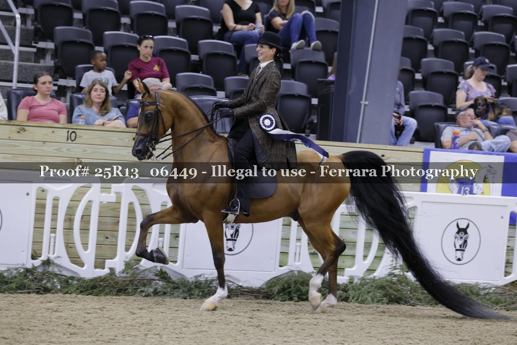 Proof 25R13_06449