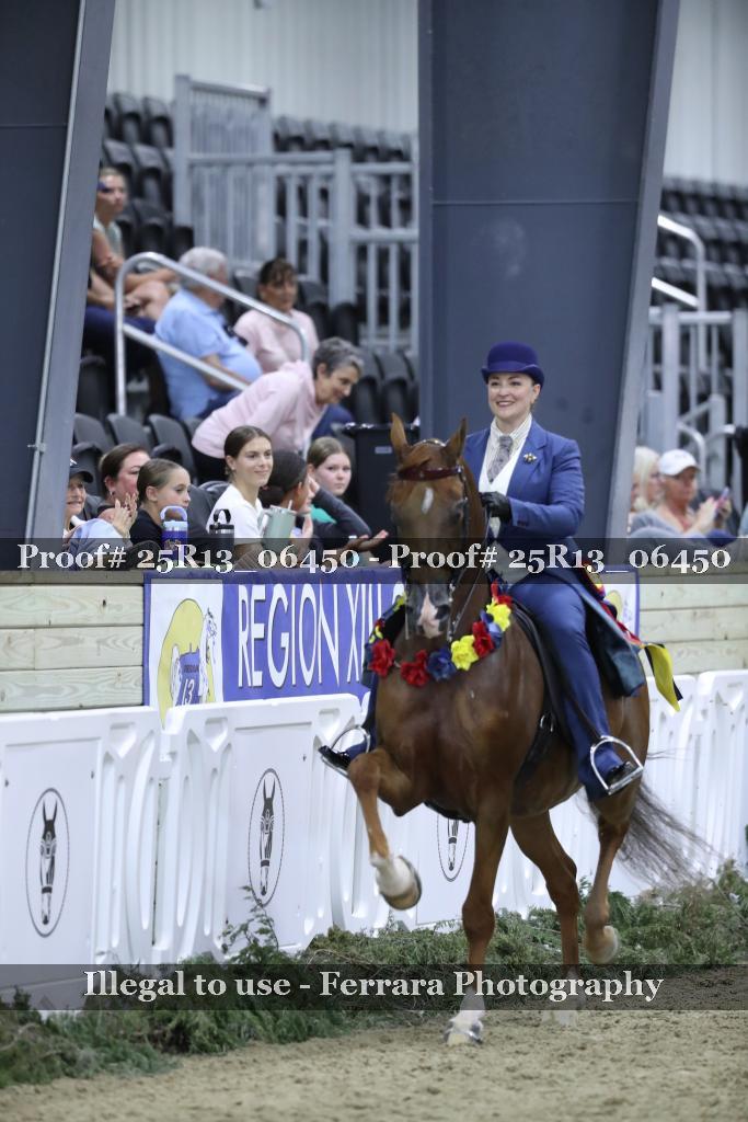 Proof 25R13_06450