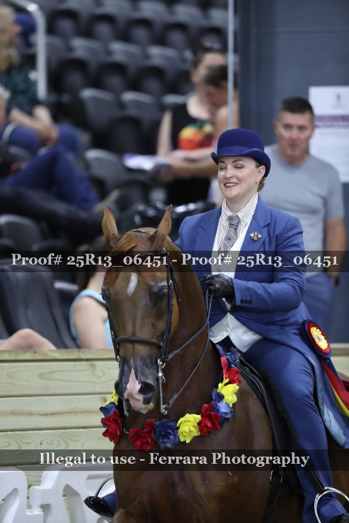 Proof 25R13_06451