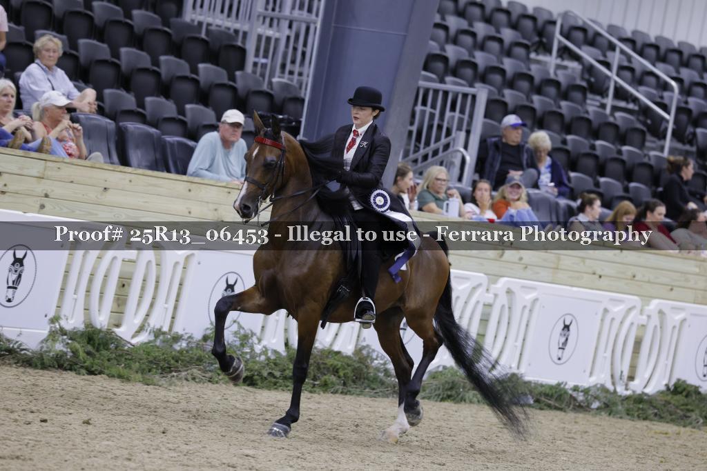Proof 25R13_06453