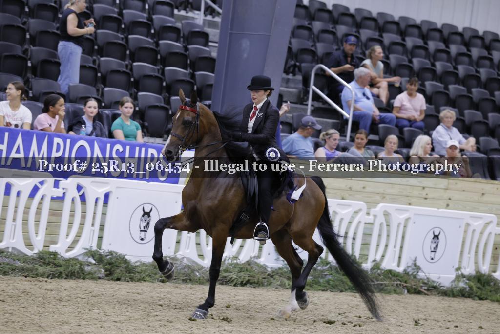 Proof 25R13_06454
