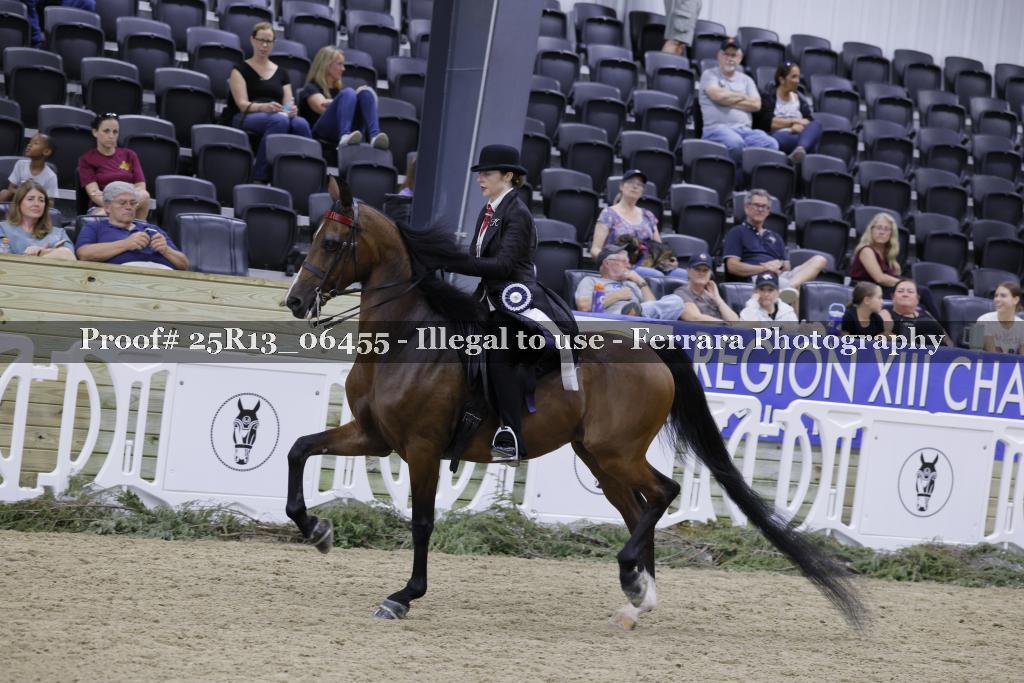 Proof 25R13_06455