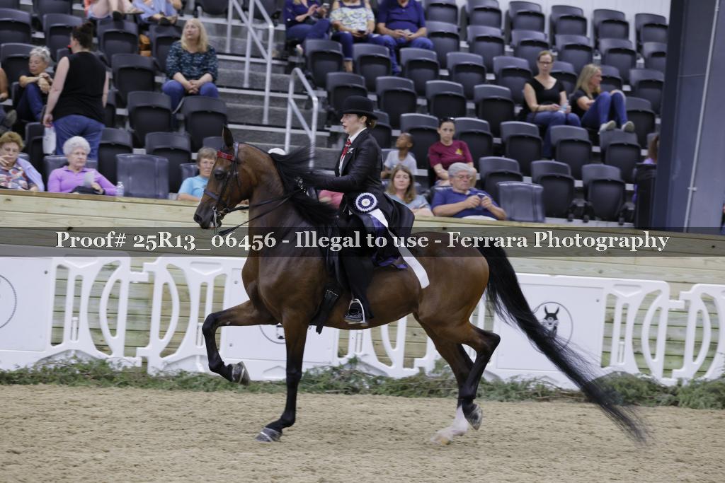 Proof 25R13_06456