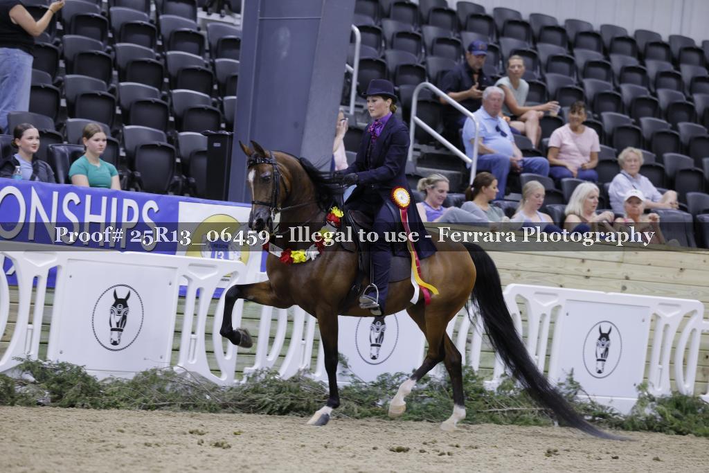 Proof 25R13_06459
