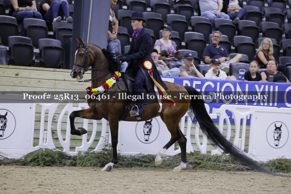 Proof 25R13_06461