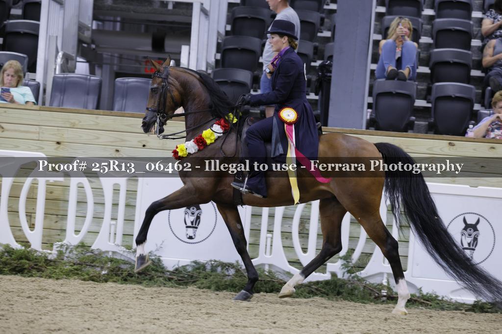 Proof 25R13_06462
