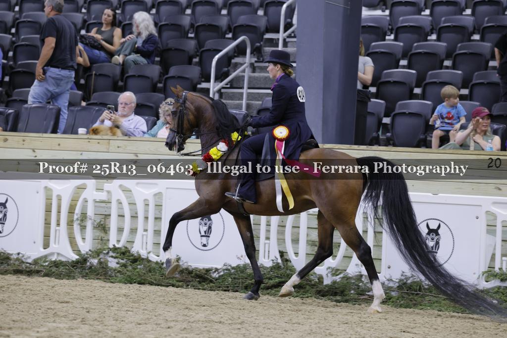 Proof 25R13_06463