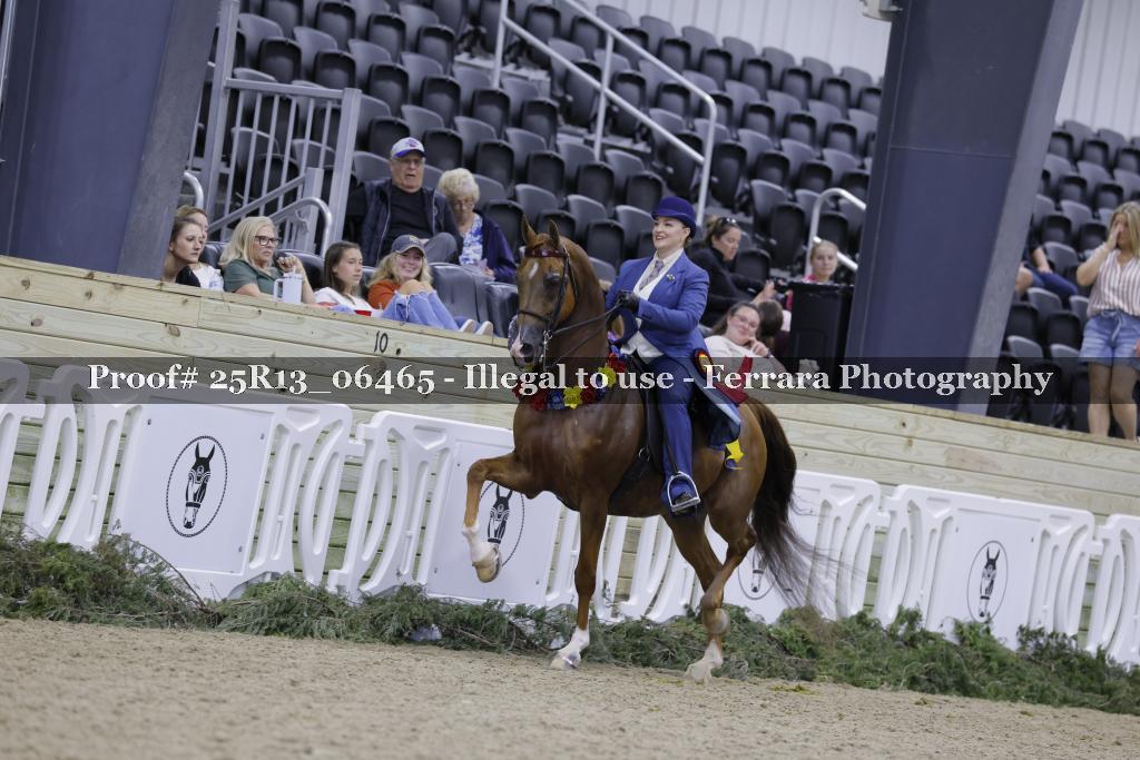 Proof 25R13_06465