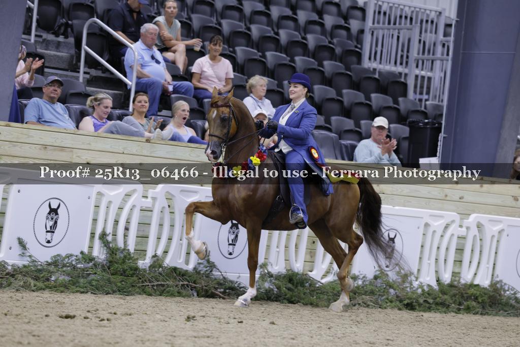 Proof 25R13_06466