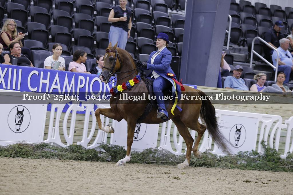 Proof 25R13_06467