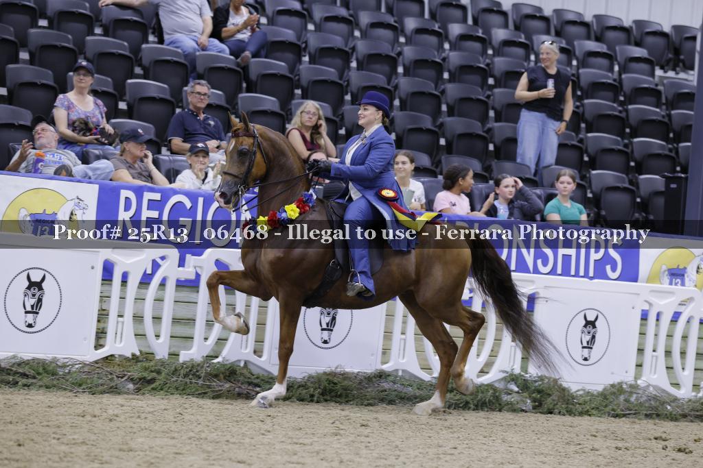 Proof 25R13_06468