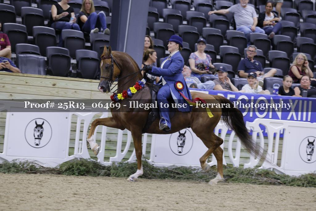 Proof 25R13_06469