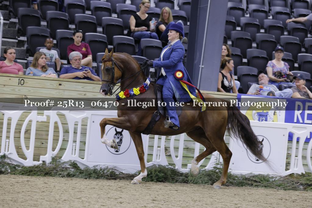 Proof 25R13_06470